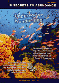 18 Secrets Undersea